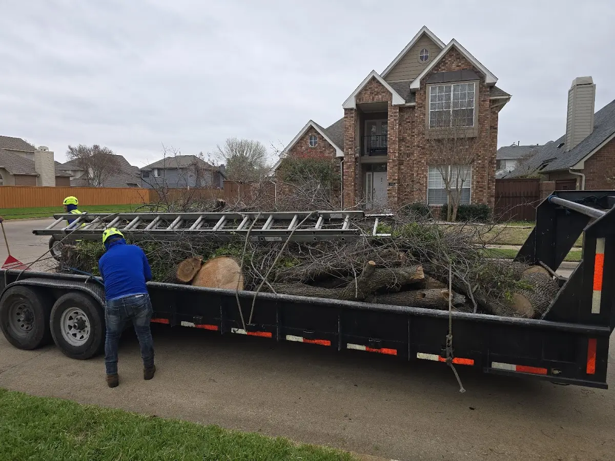 Expert Tree Removal with proper safety equipment in Huslia